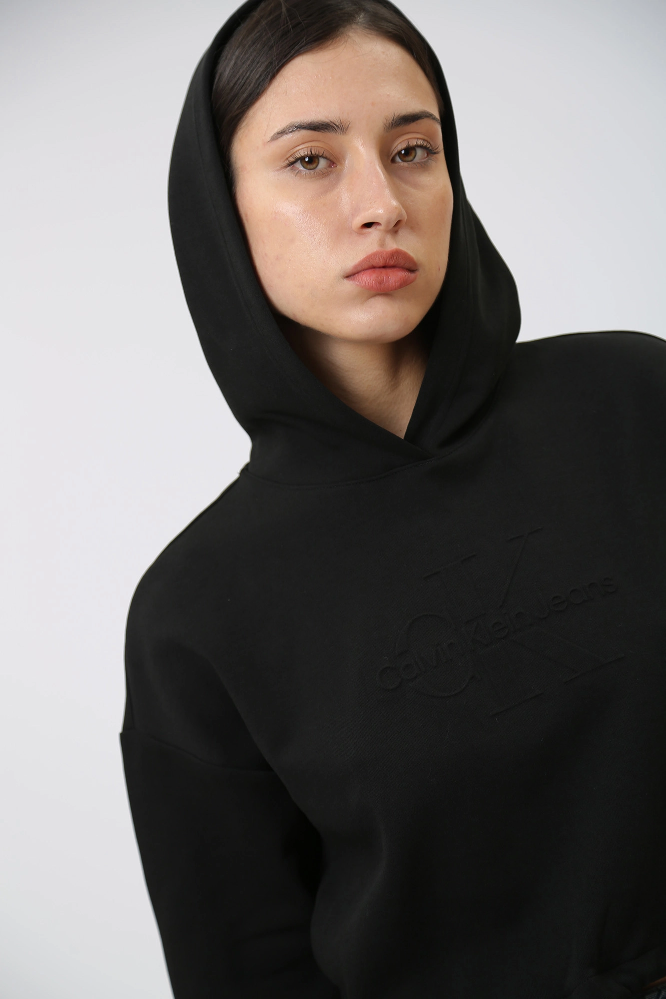 J20J221929 худи calvin klein jeans 