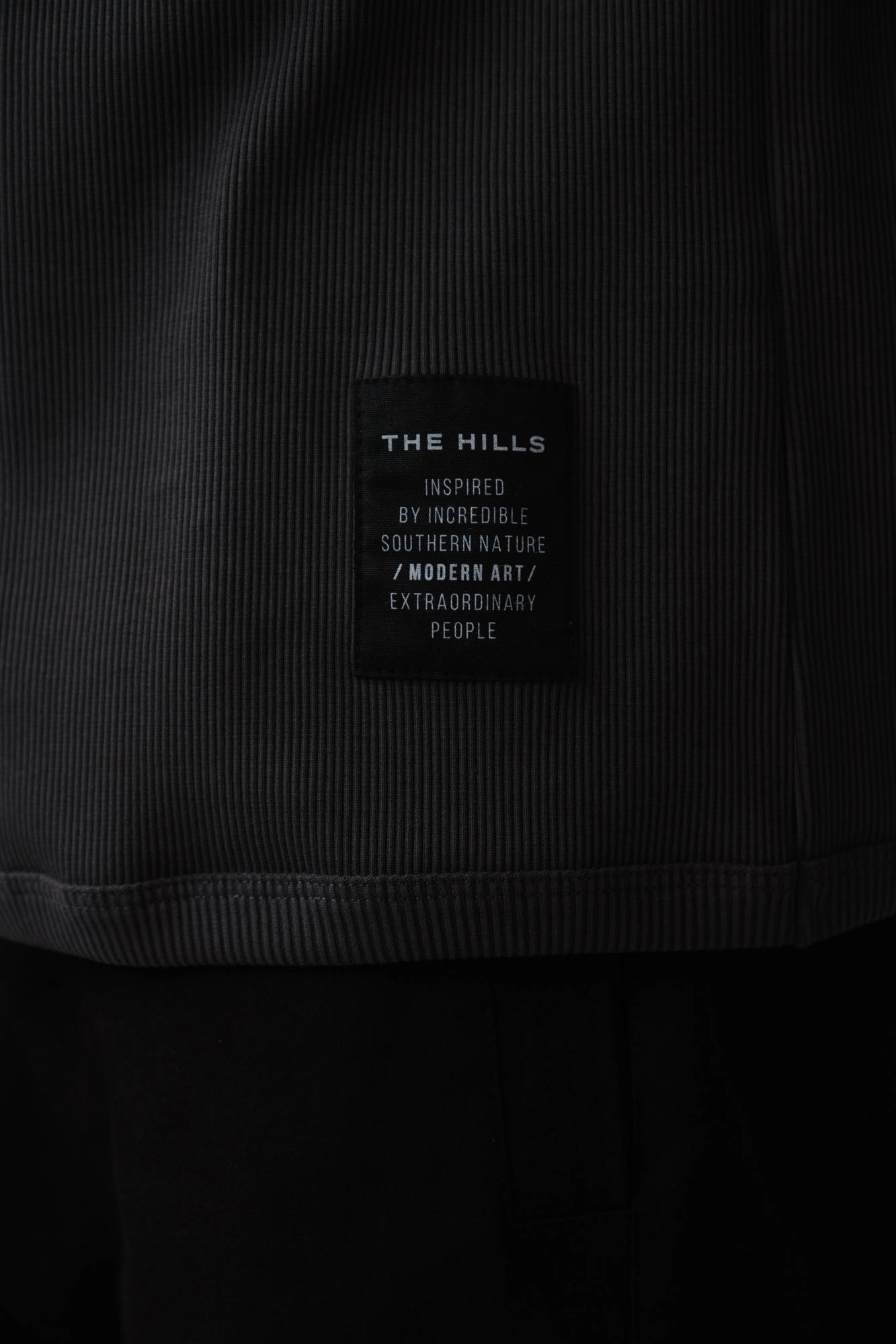 M-251-THT-22-0158 Футболка The Hills Серый